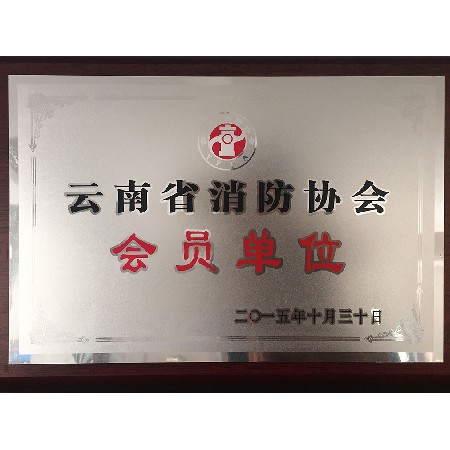云南消防協會 會員單位
